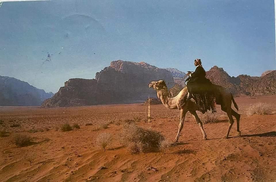 Bedouin Family Camp Hotel Wadi Rum Exterior photo